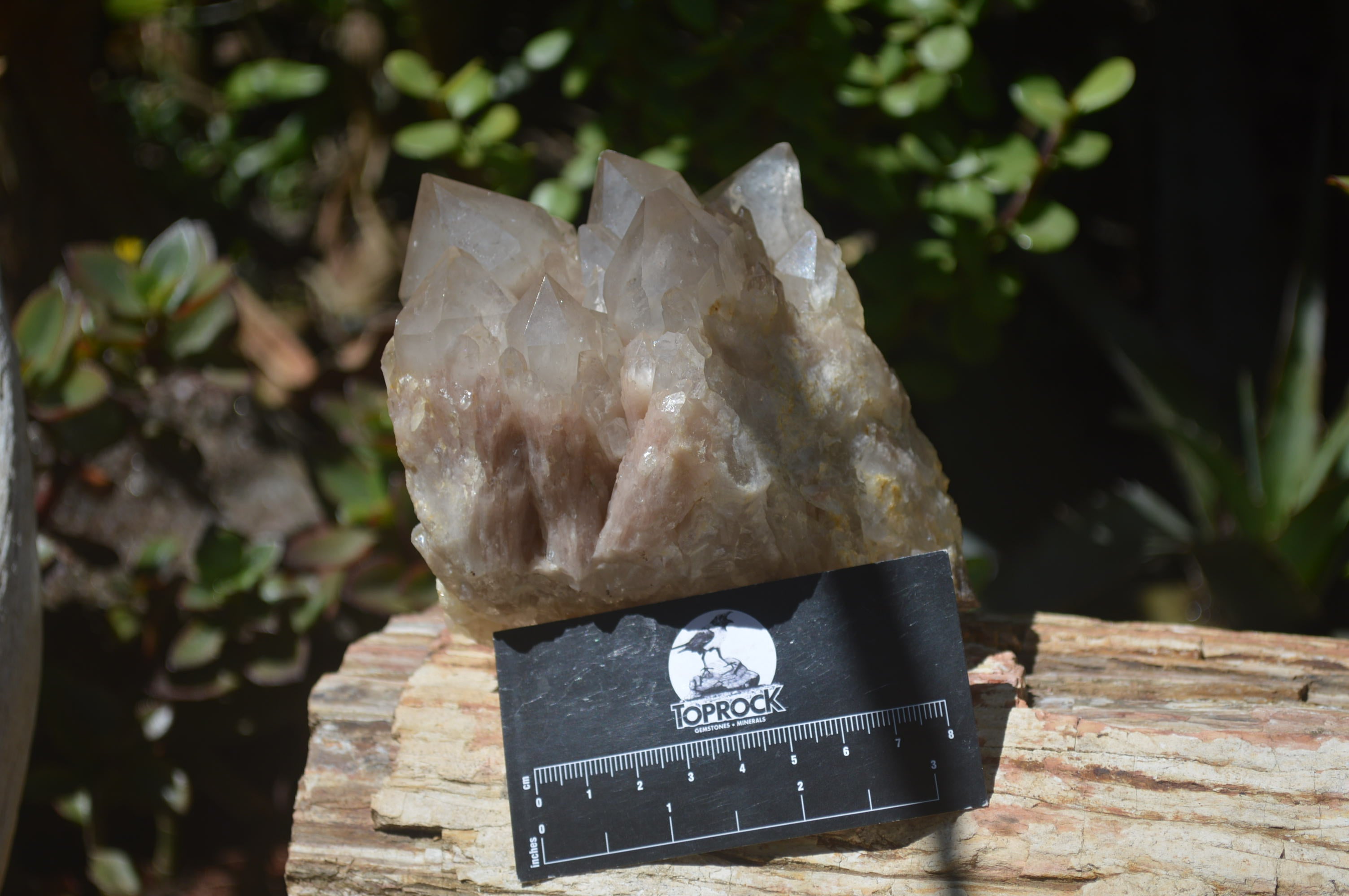 Natural Cascading Smokey Quartz Clusters x 2 From Luena, Congo - Toprock Gemstones and Minerals 