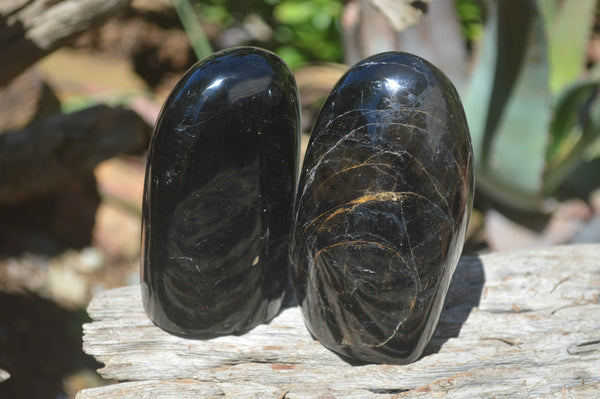 Polished Black Tourmaline Standing Free Forms x 3 From Madagascar - Toprock Gemstones and Minerals 