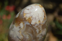 Polished Ocean - Coral Flower Agate Standing Free Forms & Sphere x 3 From Madagascar - Toprock Gemstones and Minerals 