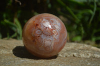 Polished Ocean - Coral Flower Agate Standing Free Forms & Sphere x 3 From Madagascar - Toprock Gemstones and Minerals 