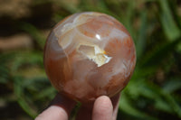 Polished Ocean - Coral Flower Agate Standing Free Forms & Sphere x 3 From Madagascar - Toprock Gemstones and Minerals 