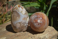 Polished Ocean - Coral Flower Agate Standing Free Forms & Sphere x 3 From Madagascar - Toprock Gemstones and Minerals 