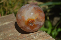 Polished Ocean - Coral Flower Agate Standing Free Forms & Sphere x 3 From Madagascar - Toprock Gemstones and Minerals 