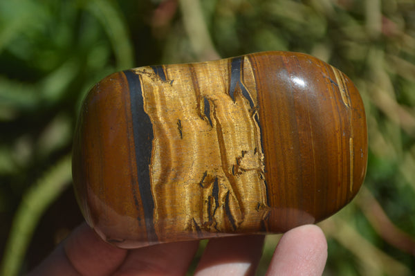 Polished Tiger's Eye Free Forms x 5 From Prieska, South Africa