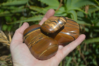 Polished Tiger's Eye Free Forms x 5 From Prieska, South Africa