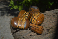 Polished Tiger's Eye Free Forms x 5 From Prieska, South Africa