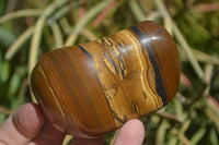 Polished Tiger's Eye Free Forms x 5 From Prieska, South Africa