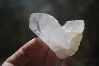 Natural Clear Quartz Clusters x 35 From Zimbabwe - Toprock Gemstones and Minerals 