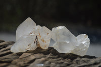 Natural Clear Quartz Clusters x 35 From Zimbabwe - Toprock Gemstones and Minerals 