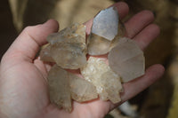 Natural Clear Quartz Clusters x 35 From Zimbabwe - Toprock Gemstones and Minerals 