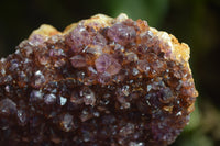 Natural Amethystos Amethyst Plates x 6 From Kwaggafontein, South Africa - Toprock Gemstones and Minerals 