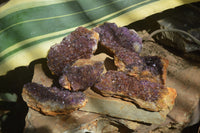 Natural Amethystos Amethyst Plates x 6 From Kwaggafontein, South Africa - Toprock Gemstones and Minerals 