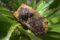 Natural Amethystos Amethyst Plates x 6 From Kwaggafontein, South Africa - Toprock Gemstones and Minerals 