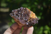 Natural Amethystos Amethyst Plates x 6 From Kwaggafontein, South Africa - Toprock Gemstones and Minerals 