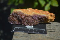 Natural Amethystos Amethyst Plates x 6 From Kwaggafontein, South Africa - Toprock Gemstones and Minerals 