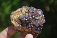 Natural Amethystos Amethyst Plates x 6 From Kwaggafontein, South Africa - Toprock Gemstones and Minerals 