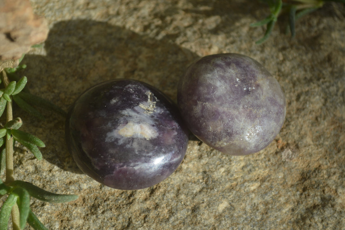 Polished Lepidolite with Pink Rubellite Palm Stones x 24 From Ambatondrazaka, Madagascar - Toprock Gemstones and Minerals 