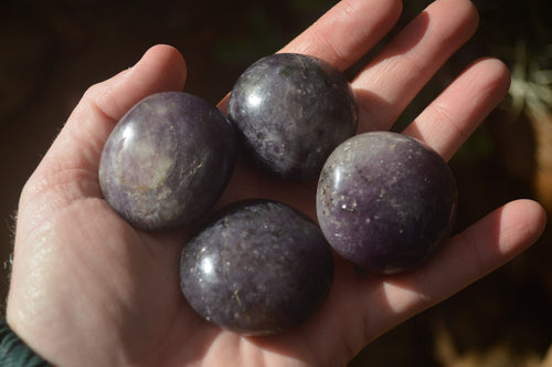 Polished Lepidolite with Pink Rubellite Palm Stones x 24 From Ambatondrazaka, Madagascar - Toprock Gemstones and Minerals 