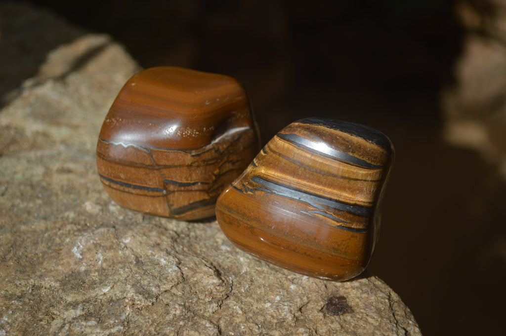 Polished Tiger's Eye Free Forms x 12 From Prieska, South Africa - Toprock Gemstones and Minerals 