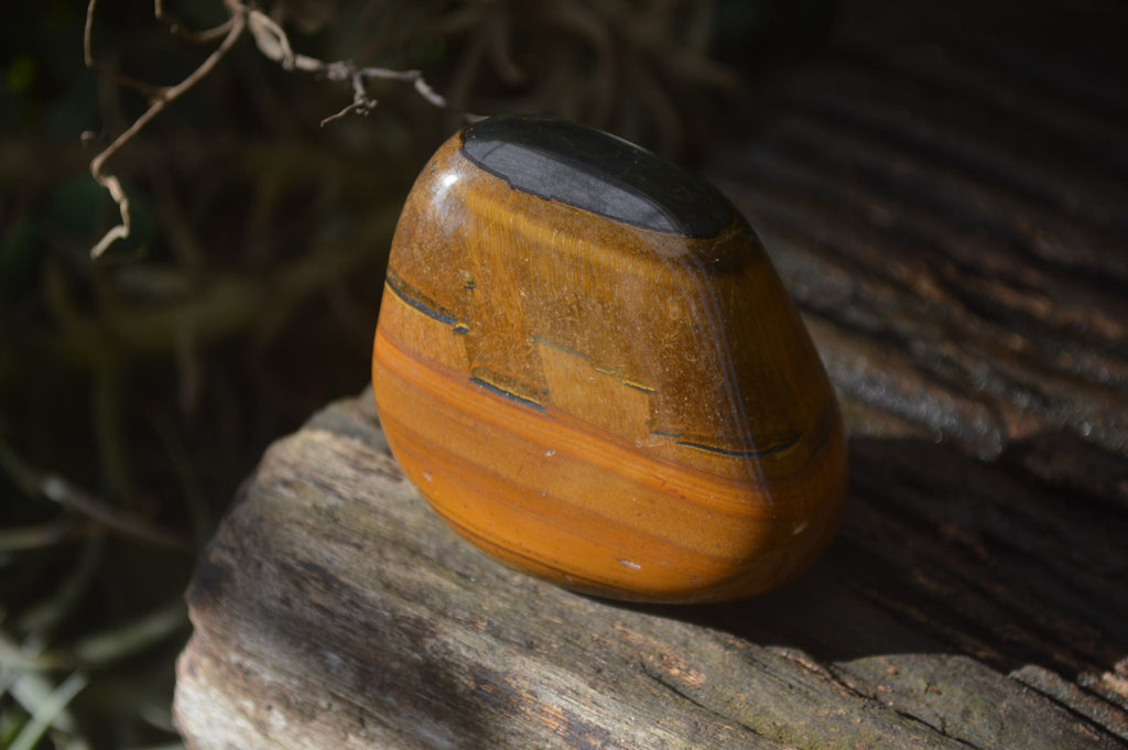 Polished Tiger's Eye Free Forms x 12 From Prieska, South Africa - Toprock Gemstones and Minerals 