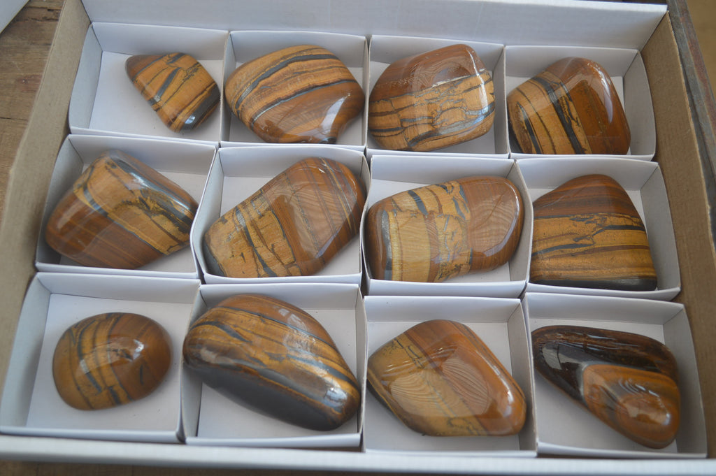 Polished Tiger's Eye Free Forms x 12 From Prieska, South Africa - Toprock Gemstones and Minerals 