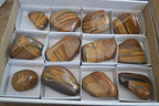 Polished Tiger's Eye Free Forms x 12 From Prieska, South Africa - Toprock Gemstones and Minerals 