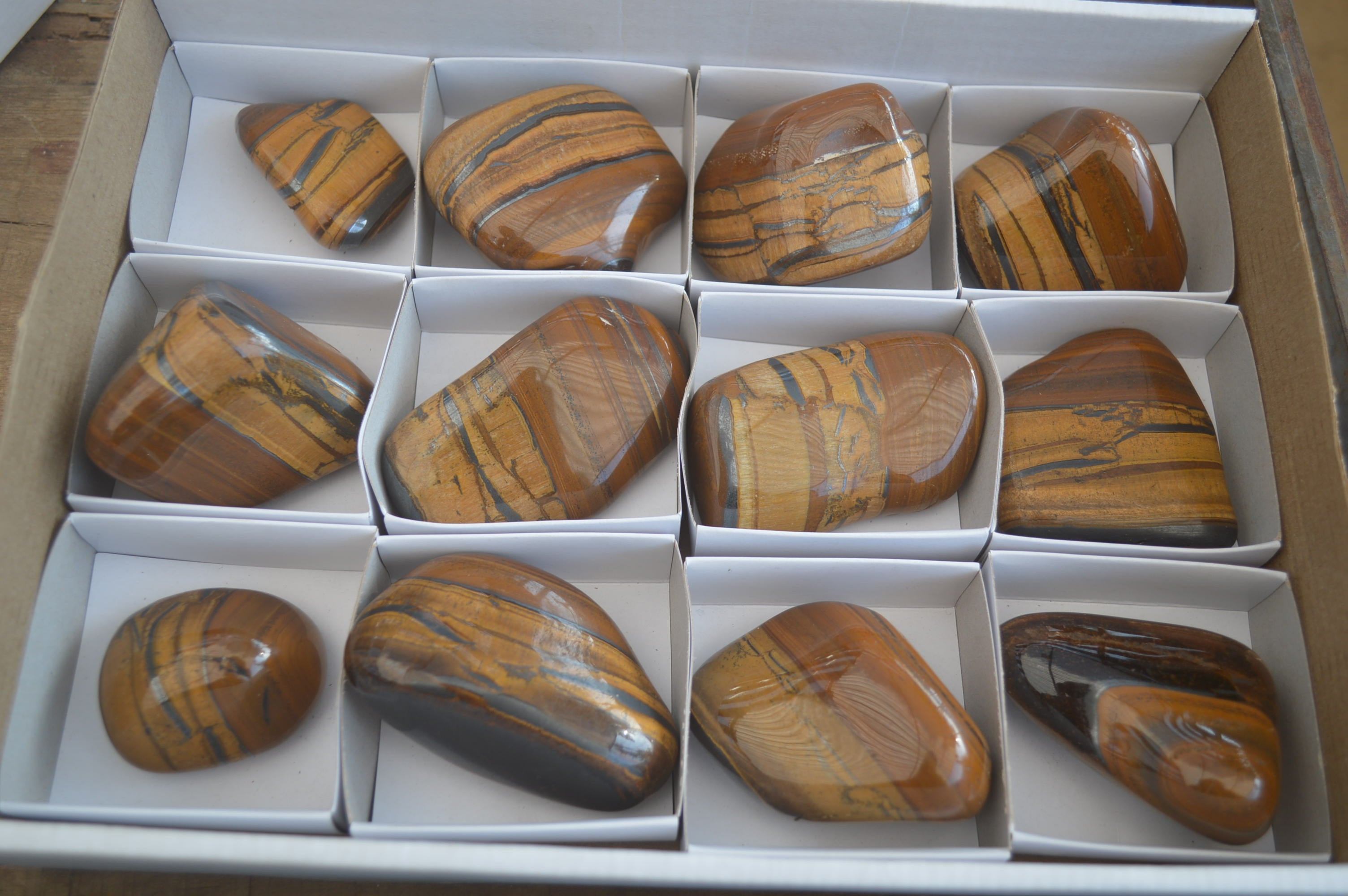 Polished Tiger's Eye Free Forms x 12 From Prieska, South Africa - Toprock Gemstones and Minerals 