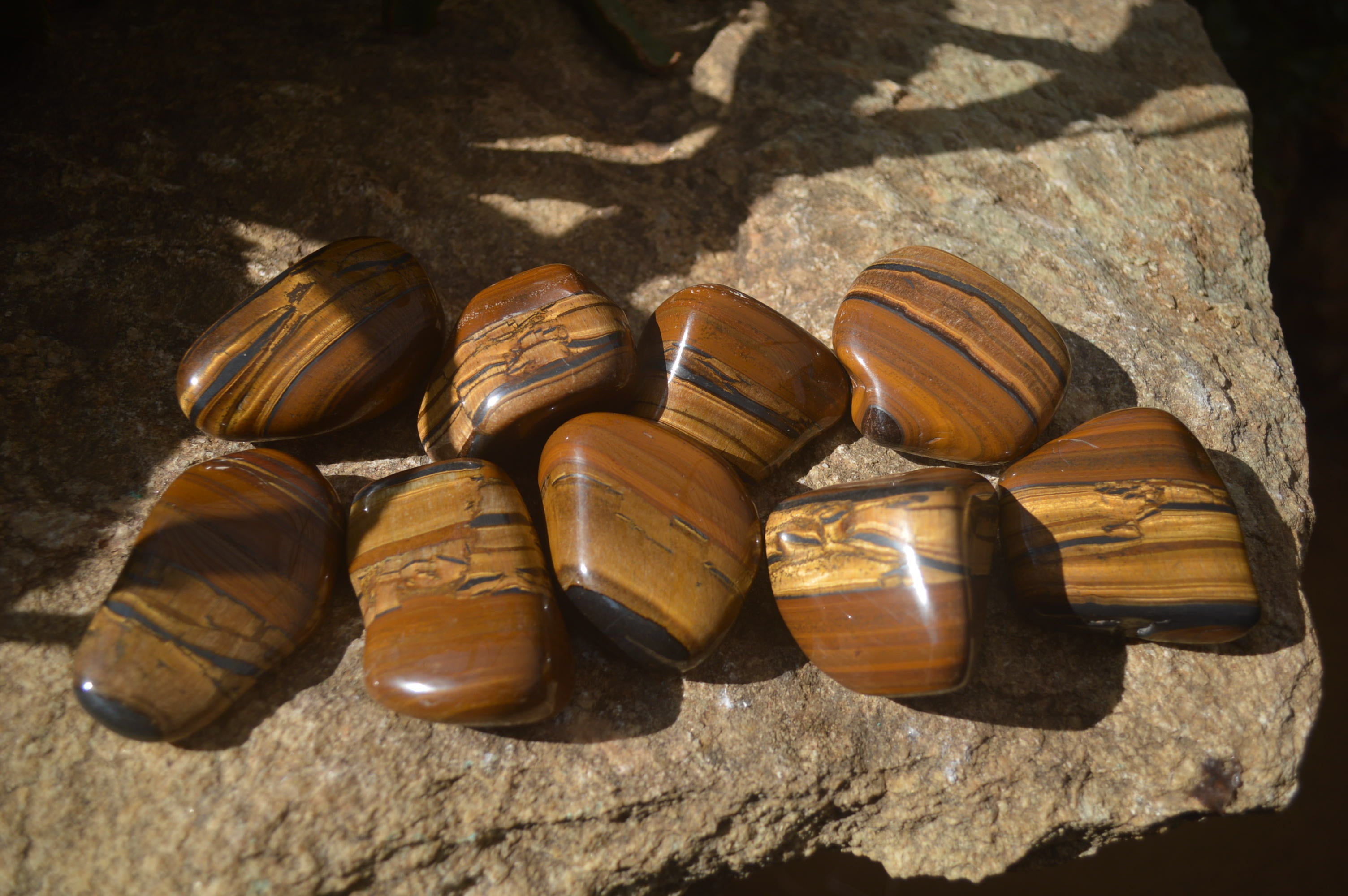 Polished Tiger's Eye Free Forms x 12 From Prieska, South Africa - Toprock Gemstones and Minerals 