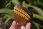Polished Tiger's Eye Free Forms x 12 From Prieska, South Africa - Toprock Gemstones and Minerals 