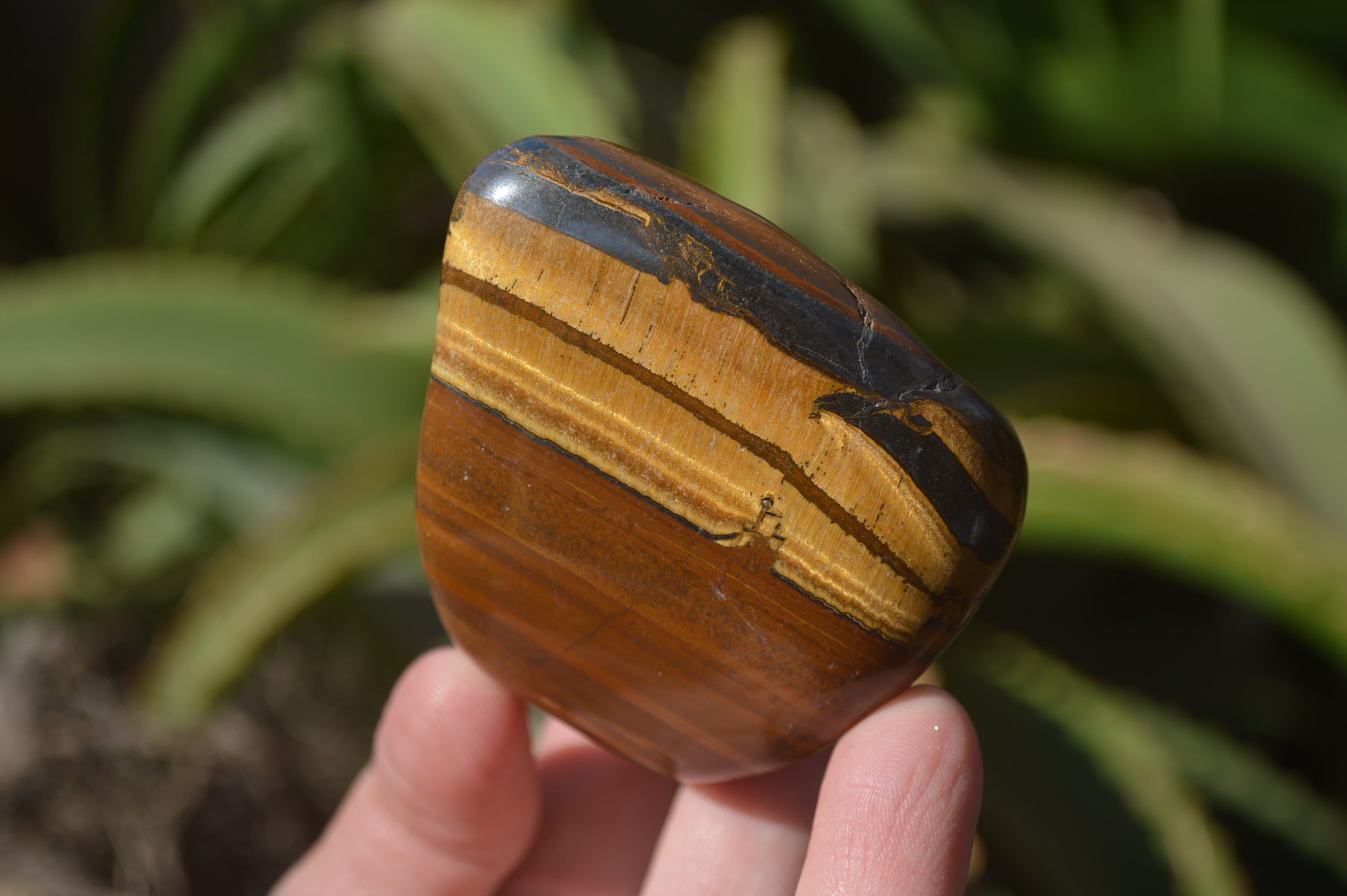 Polished Tiger's Eye Free Forms x 12 From Prieska, South Africa - Toprock Gemstones and Minerals 