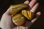 Polished Tiger's Eye Free Forms x 12 From Prieska, South Africa - Toprock Gemstones and Minerals 