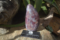 Polished Blue Rose Quartz Standing Free Forms x 2 From Madagascar - Toprock Gemstones and Minerals 