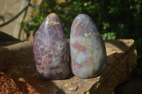Polished Blue Rose Quartz Standing Free Forms x 2 From Madagascar - Toprock Gemstones and Minerals 