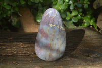 Polished Blue Rose Quartz Standing Free Forms x 2 From Madagascar - Toprock Gemstones and Minerals 