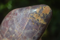 Polished Blue Rose Quartz Standing Free Forms x 2 From Madagascar - Toprock Gemstones and Minerals 