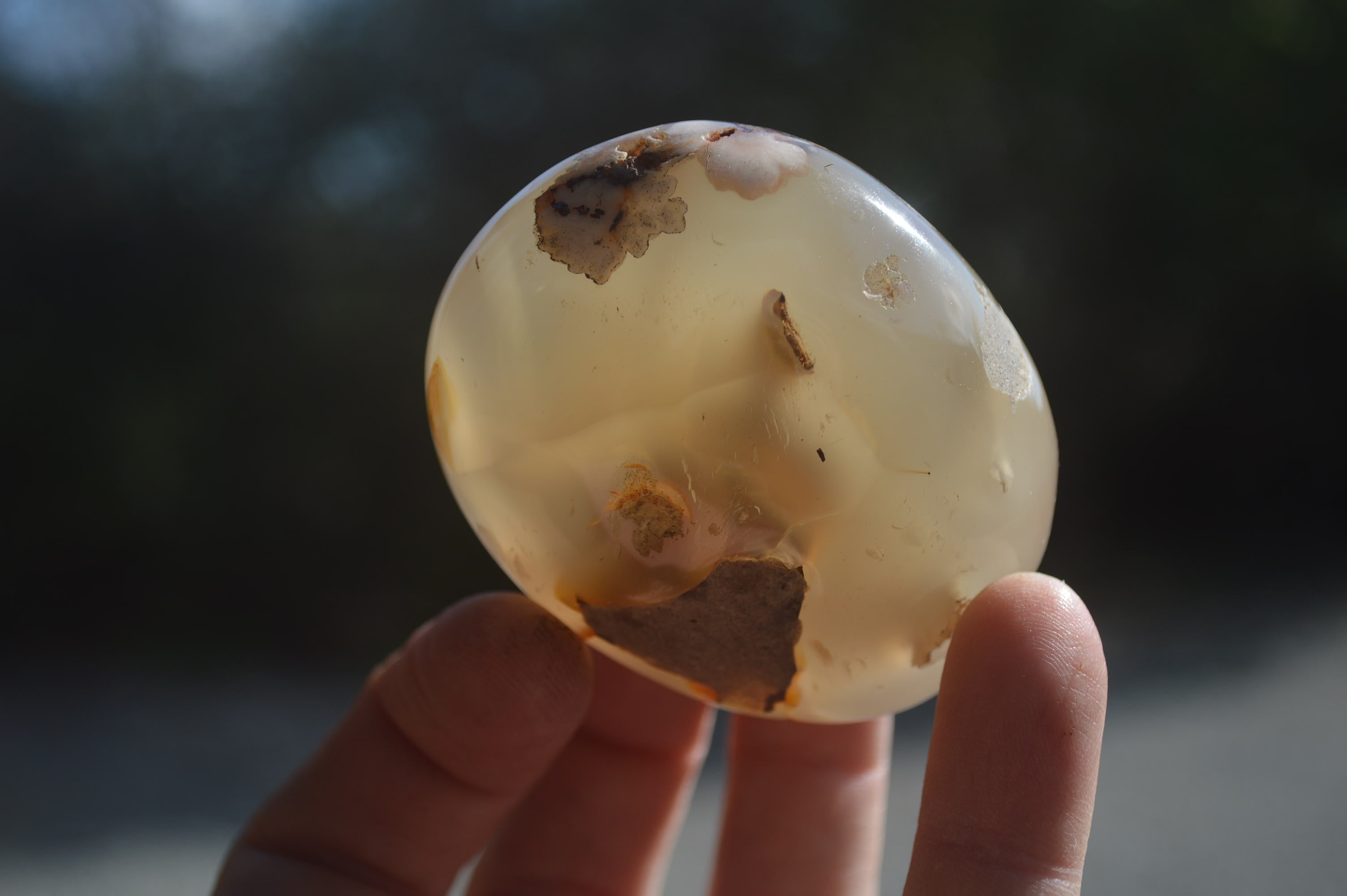Polished Flower Agate Palm Stones x 12 From Madagascar - Toprock Gemstones and Minerals 