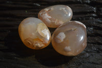 Polished Flower Agate Palm Stones x 12 From Madagascar - Toprock Gemstones and Minerals 
