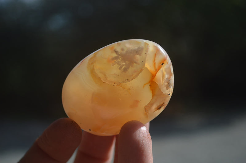 Polished Flower Agate Palm Stones x 12 From Madagascar - Toprock Gemstones and Minerals 