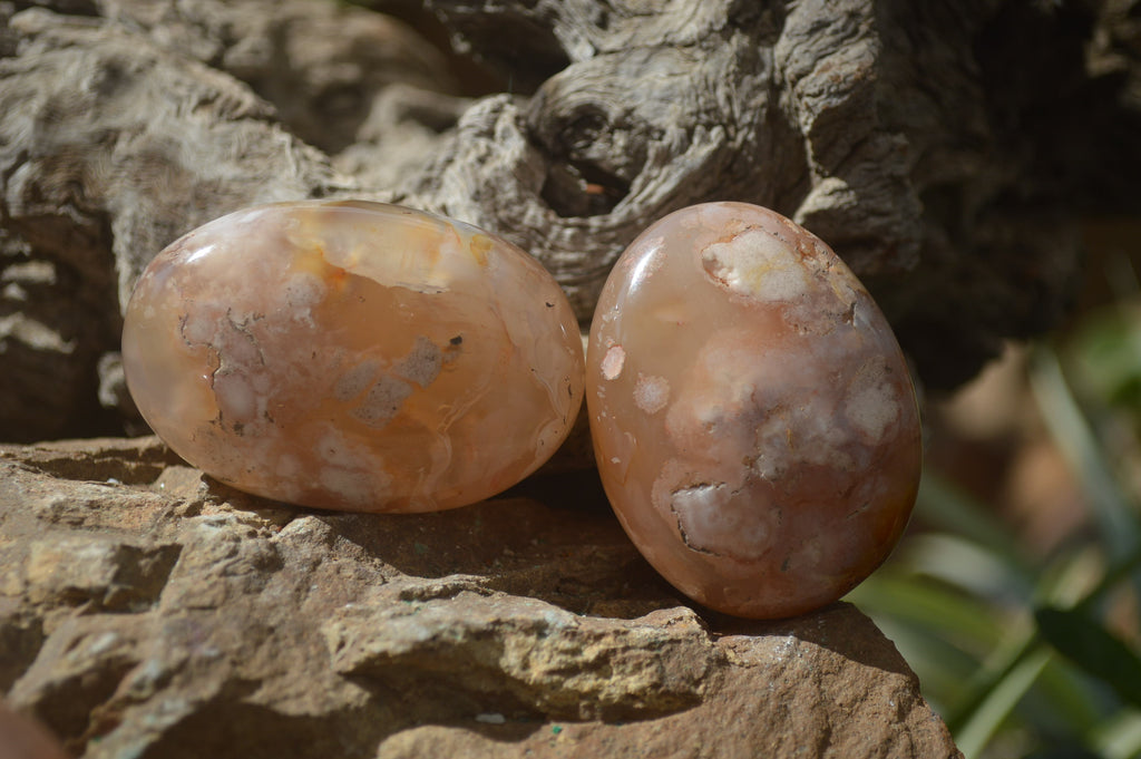 Polished Flower Agate Palm Stones x 12 From Madagascar - Toprock Gemstones and Minerals 