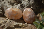 Polished Flower Agate Palm Stones x 12 From Madagascar - Toprock Gemstones and Minerals 