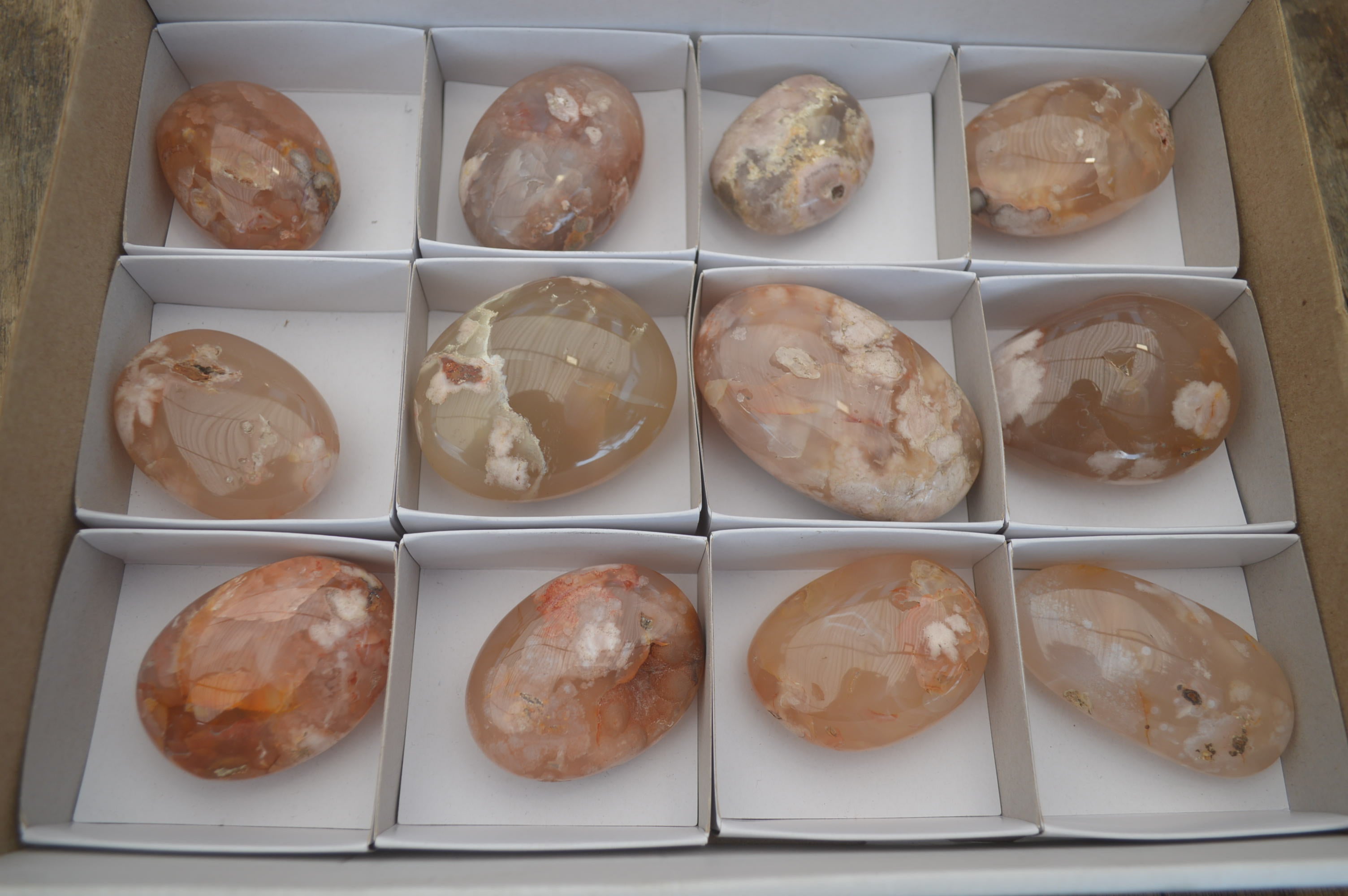 Polished Flower Agate Palm Stones x 12 From Madagascar - Toprock Gemstones and Minerals 