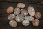 Polished Flower Agate Palm Stones x 12 From Madagascar - Toprock Gemstones and Minerals 