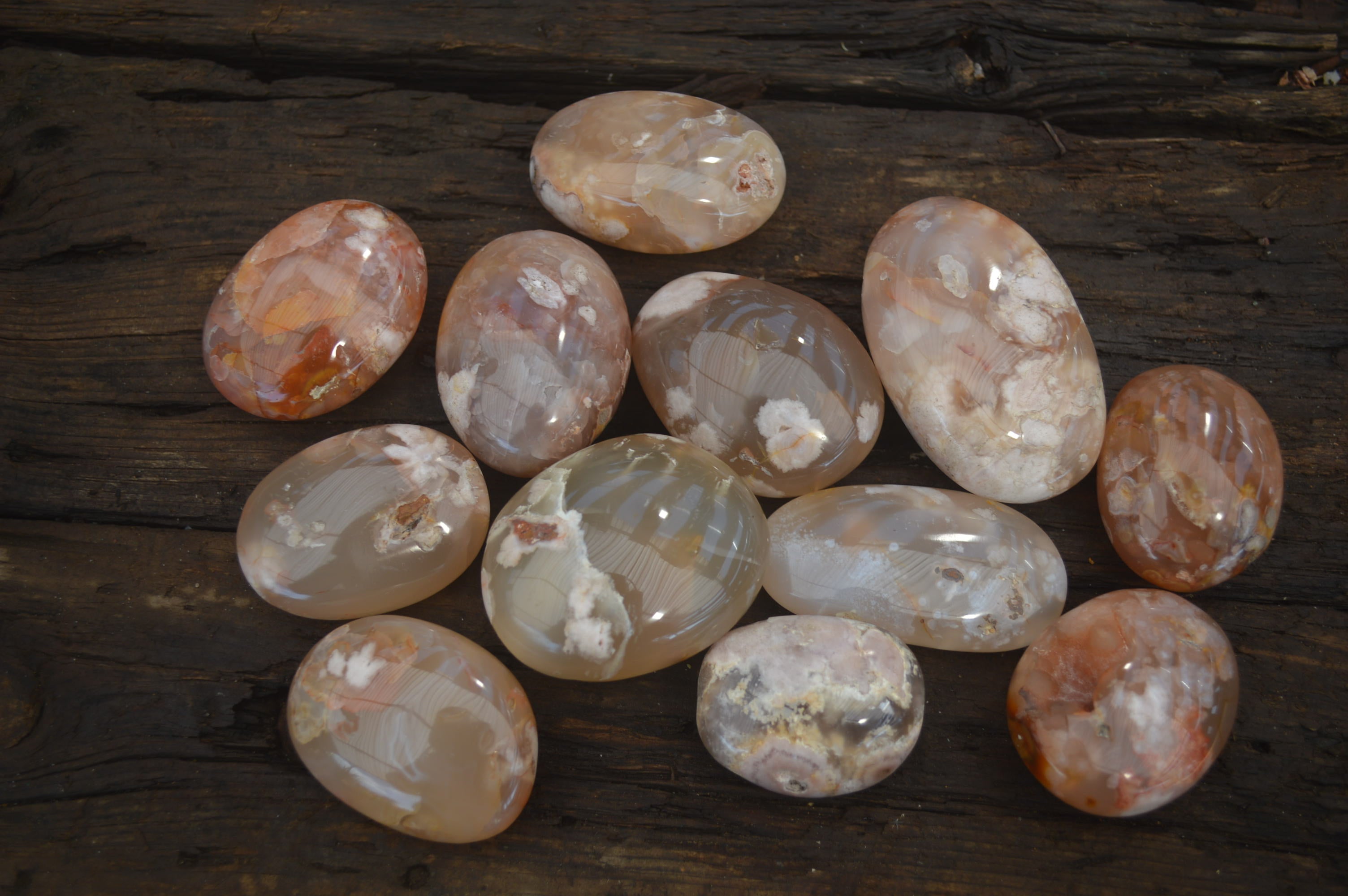 Polished Flower Agate Palm Stones x 12 From Madagascar - Toprock Gemstones and Minerals 
