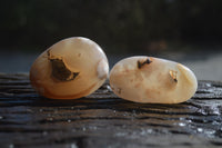 Polished Flower Agate Palm Stones x 12 From Madagascar - Toprock Gemstones and Minerals 