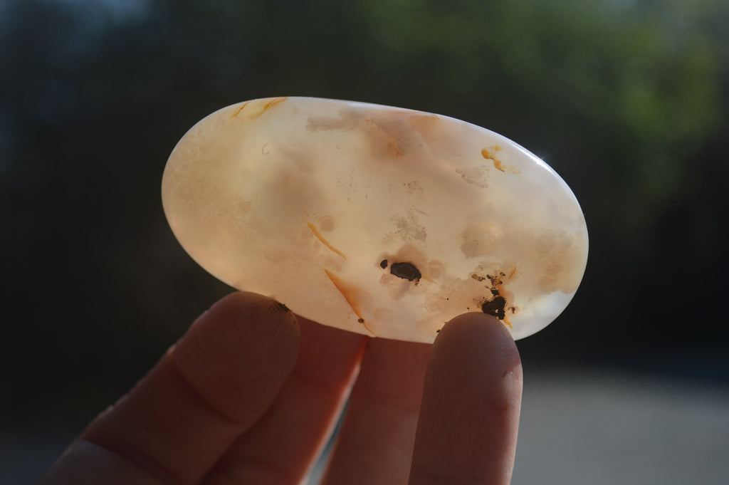 Polished Flower Agate Palm Stones x 12 From Madagascar - Toprock Gemstones and Minerals 