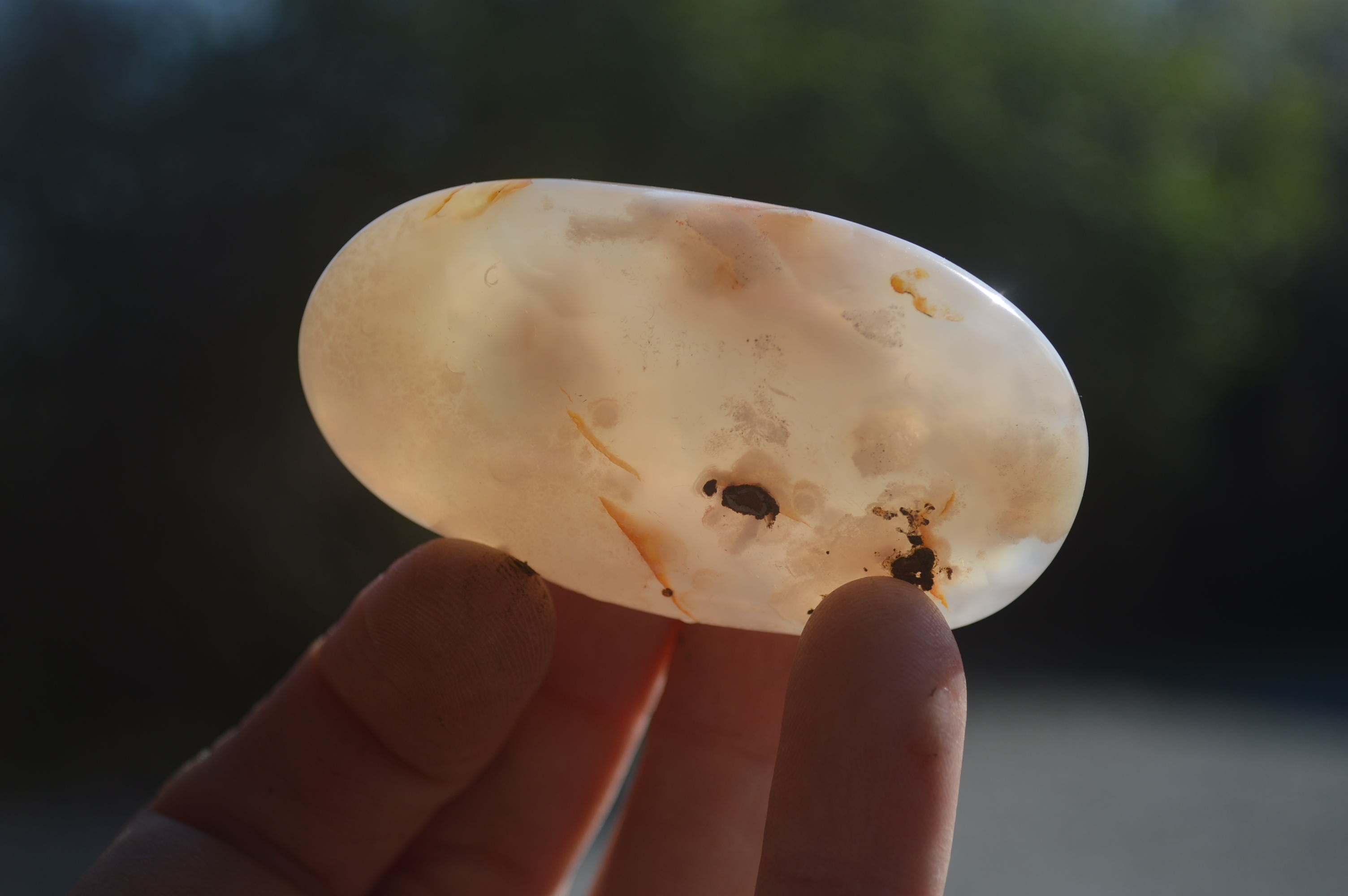 Polished Flower Agate Palm Stones x 12 From Madagascar - Toprock Gemstones and Minerals 