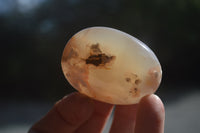 Polished Flower Agate Palm Stones x 12 From Madagascar - Toprock Gemstones and Minerals 
