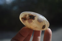 Polished Flower Agate Palm Stones x 12 From Madagascar - Toprock Gemstones and Minerals 