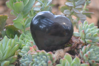 Polished Black Basalt Gemstone Hearts x 12 From Madagascar