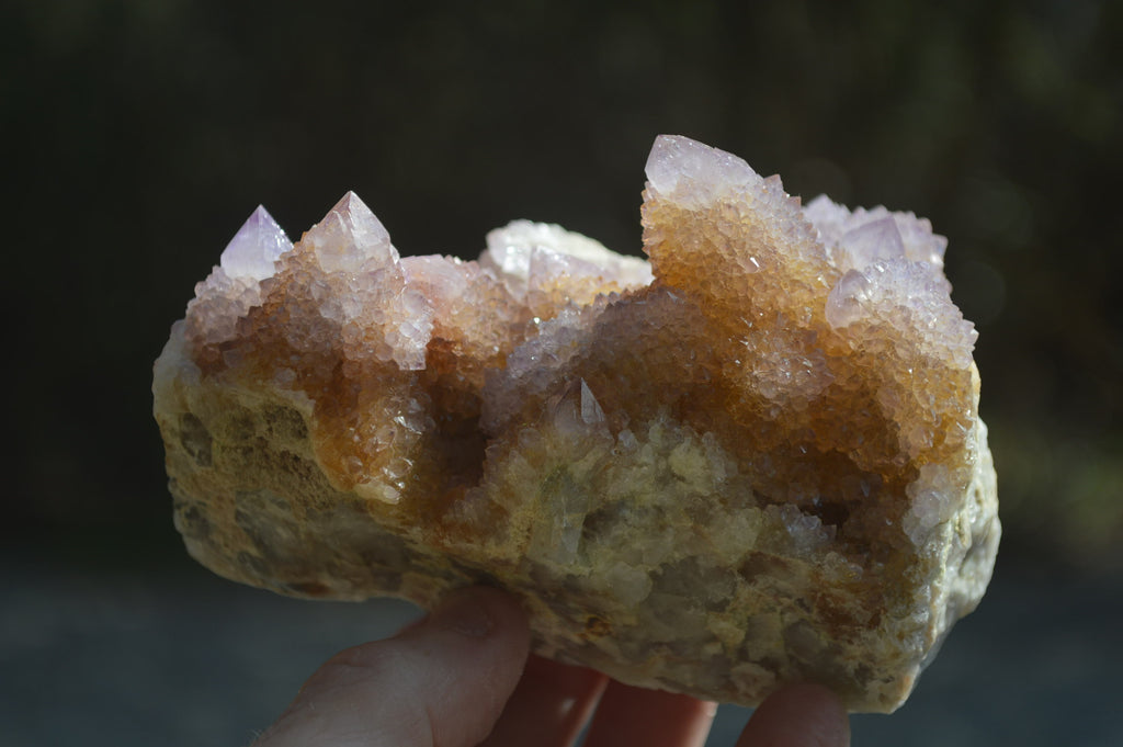 Natural Ametrine Spirit Quartz Clusters x 2 From Boekenhouthoek, South Africa - Toprock Gemstones and Minerals 